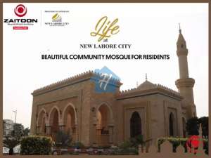 100% ready plots on 150ft wide road.1 km away from ring road.No Dealer